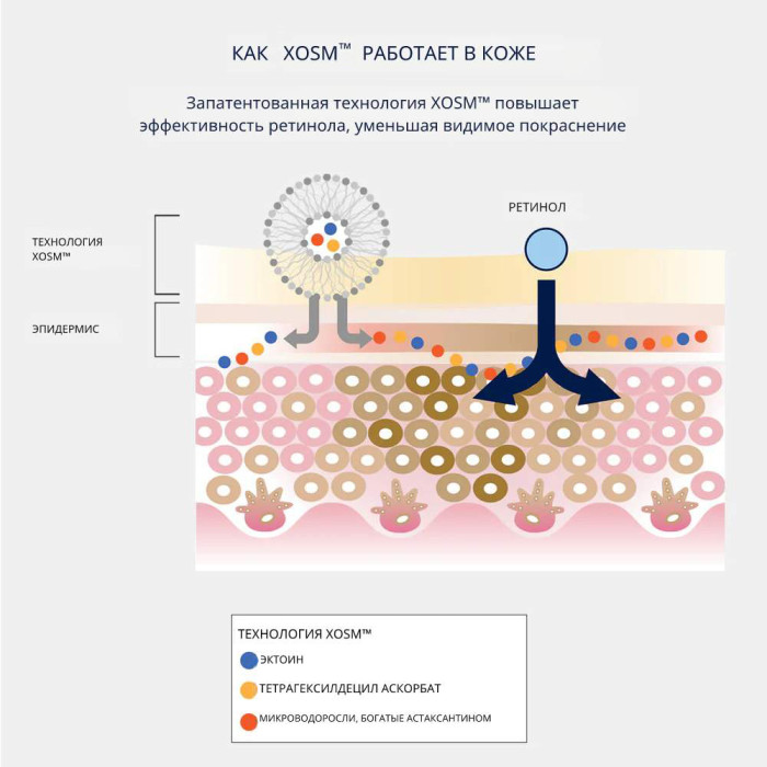 Сыворотка с ретинолом 0.75%  lvl 3 AGELESS+ Retinol Pure Liquid Retinol